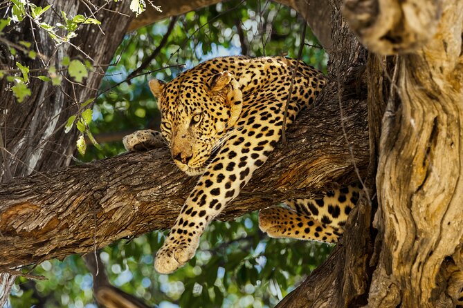 3 Night & 4 Day Private Kruger Park Safari