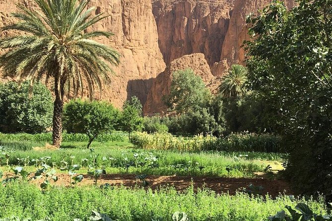 3 Valleys Excursion From Marrakech