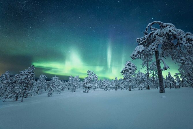 4-Day Aurora Viewing Tour From Whitehorse, Canada