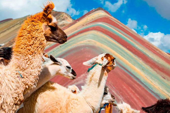 4-Day Excursion to Machupicchu & Rainbow Mountain & City Tour All Included