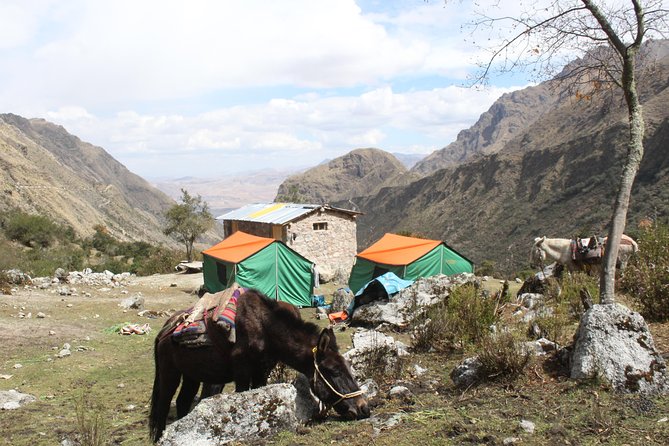 4-Day Group-Tour to Machu Picchu via Lares Valley With Meals  – Cusco