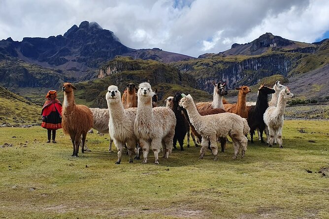 4 Day Lares Trek to Machu Picchu