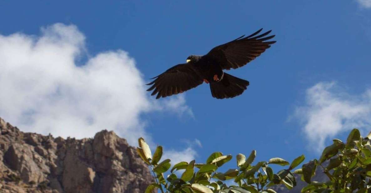 4 Day Visiting the Berber Village - Day 2: Hiking to Berber Village Dknt