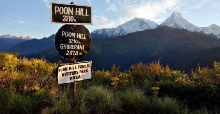 4 Days Poon Hill Trek: From Pokhara