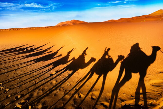 4 Days Sahara Desert Tours From Marrakech to Fes