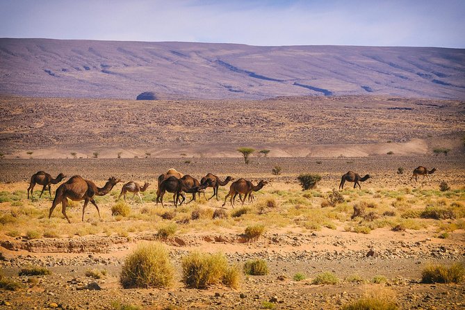 4 Days Trekking To The Heart Of Desert