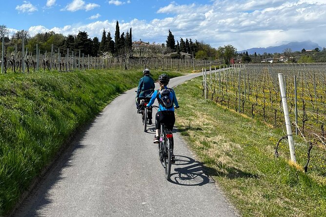 4-Hour Guided E-bike Tour of the Two Wineries in Bardolino