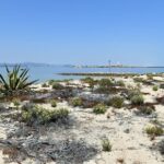 1 4 hour private boat tour in ria formosa 4-Hour Private Boat Tour in Ria Formosa