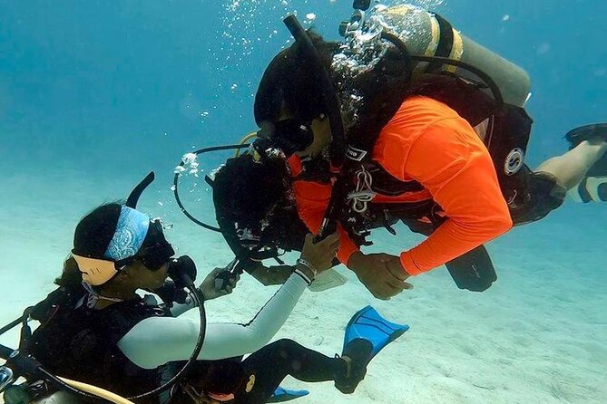 1 4 hour scuba diving course in tayrona park 4 Hour Scuba Diving Course in Tayrona Park