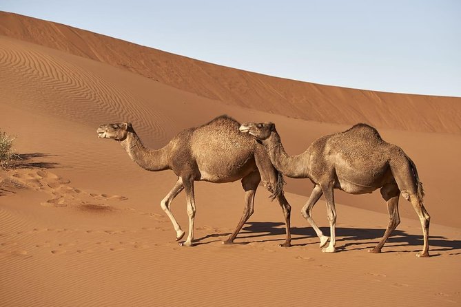 4×4 South Morocco and Sahara Desert Private Tour