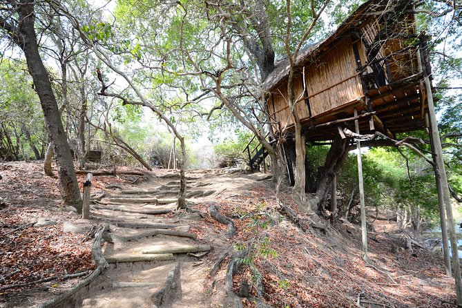 5 Day Lodge and Treehouse Kruger National Park Safari