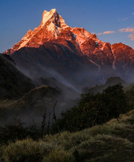 5 Days Mardi Himal Trek: From Pokhara