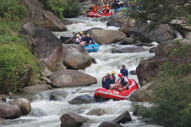 5km White Water Rafting and Jungle Tour From Phuket