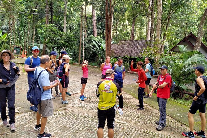 6-Hour Doi Pui Summit Hike in Doi Suthep National Park From Chiang Mai