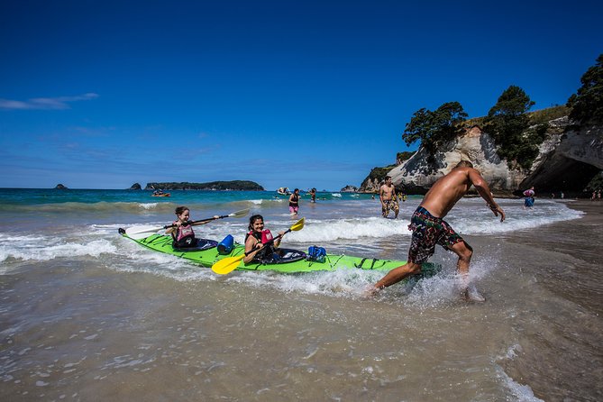 7-Day Coasts and Culture From Auckland