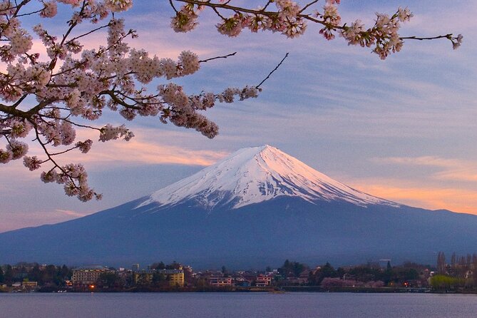 1 7 day guided tour in tokyo mount fuji kyoto nara and osaka 7-Day Guided Tour in Tokyo, Mount Fuji, Kyoto, Nara and Osaka
