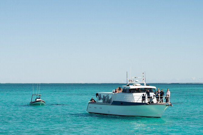 7 Hours Off Peak Whale Shark and Ningaloo Reef Tour in Exmouth