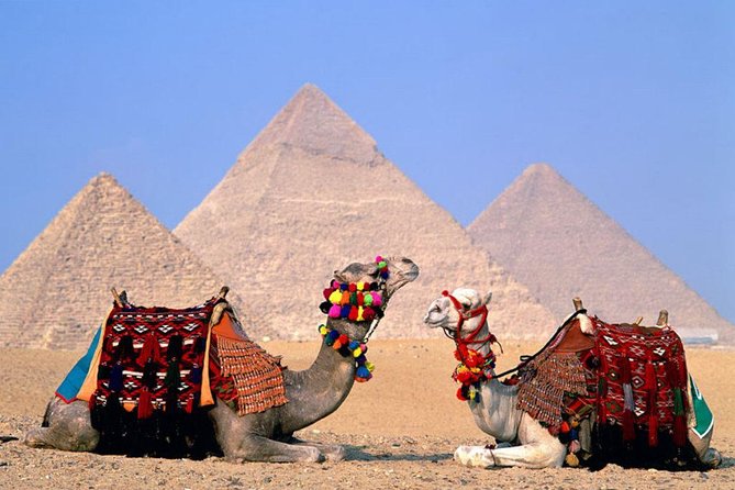 1 8 day private tour cairo aswan luxor and nile cruise including air fare 8-Day Private Tour Cairo, Aswan, Luxor and Nile Cruise Including Air Fare