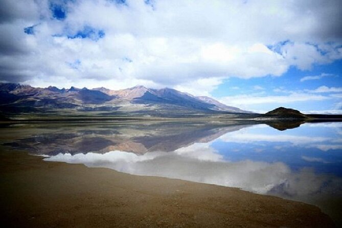 1 8 hours tour in arequipa laguna de salinas with pick up 8-Hours Tour in Arequipa Laguna De Salinas With Pick-Up