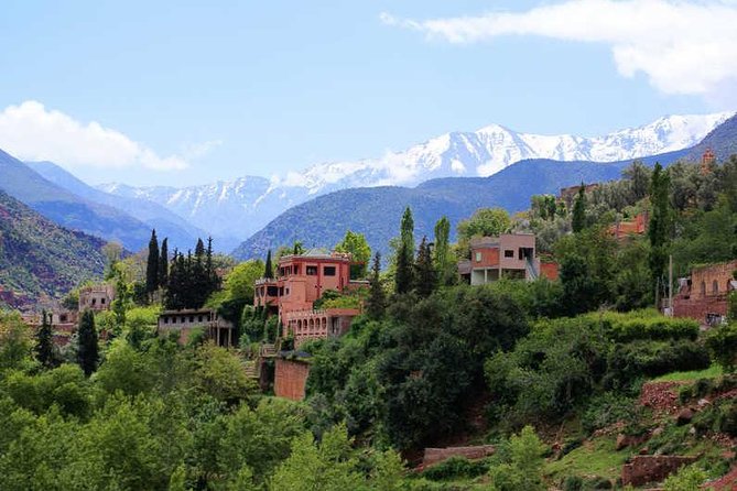 A Day in the Ourika Valley From Marrakech