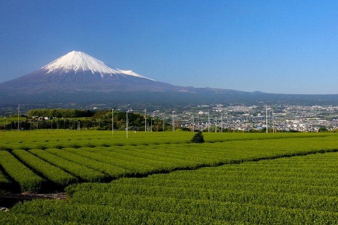 1 a trip to enjoy subsoil water and nature behind mt fuji A Trip to Enjoy Subsoil Water and Nature Behind Mt. Fuji