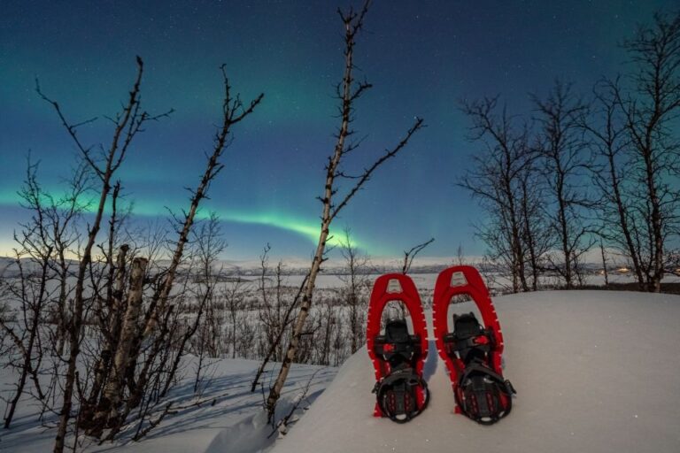 Abisko: Aurora Snowshoeing