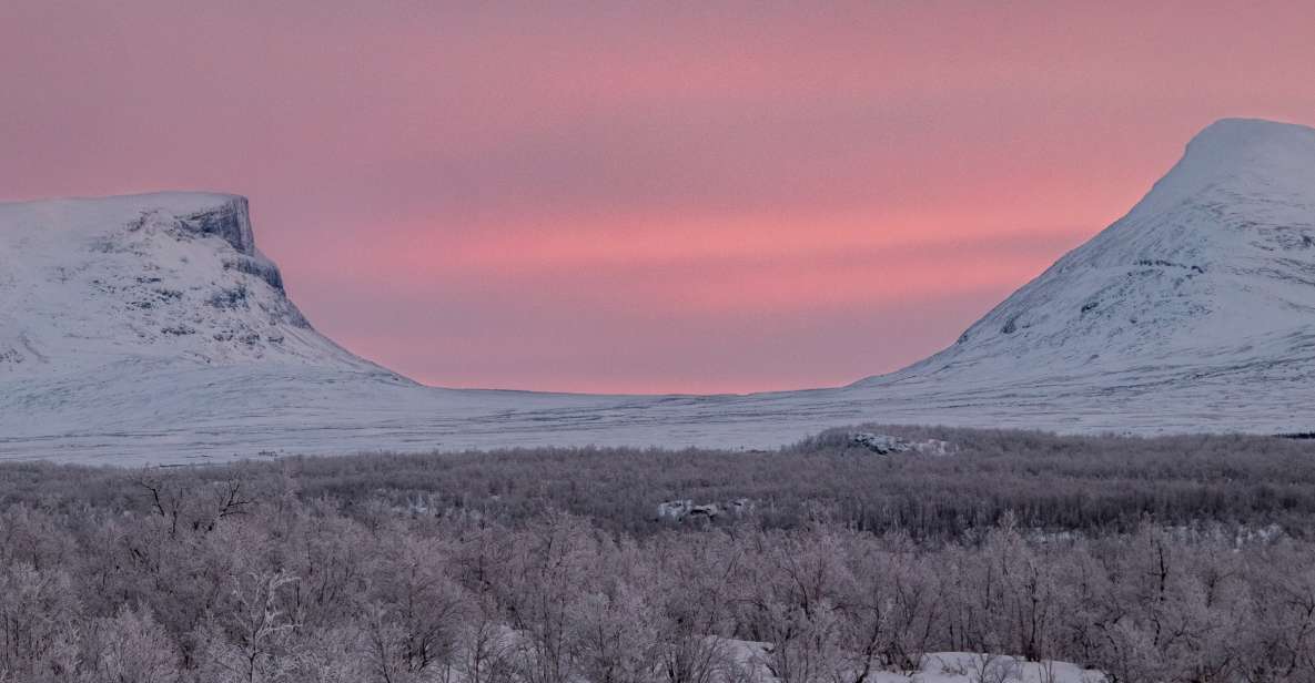 1 abisko national park scenic morning hike with transfer Abisko National Park: Scenic Morning Hike With Transfer