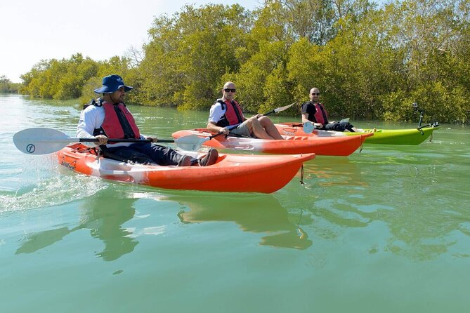 Abu Dhabi Mangrove Kayaking Tour