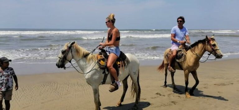 Acapulco: Gentle Beach Horse Riding Tour on Barra Vieja