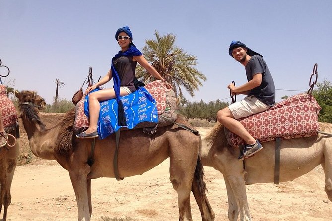 Activities in Marrakech Camel Ride Tour in Palm Grove - Camel Riding Experience