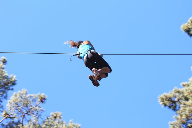 Adrenalin Forest Obstacle Course in Wellington