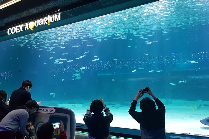 Afternoon Coex Aquarium, Han River Cruise Tour