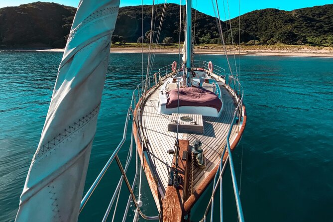 1 afternoon sail bay of islands vigilant yacht charters Afternoon Sail - Bay of Islands Vigilant Yacht Charters