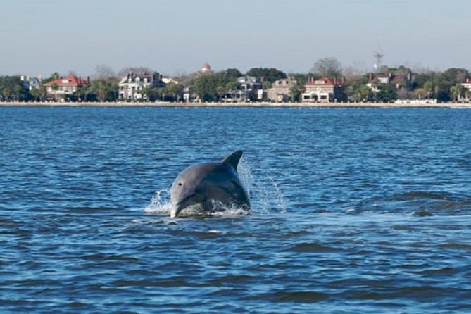 1 afternoon schooner sightseeing dolphin cruise on charleston harbor Afternoon Schooner Sightseeing Dolphin Cruise on Charleston Harbor
