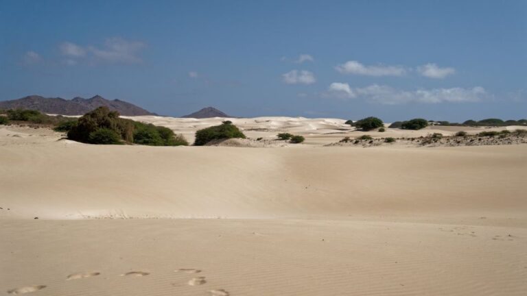 Agadir: 44 Jeep Desert Safari With Lunch Tajin & Couscous