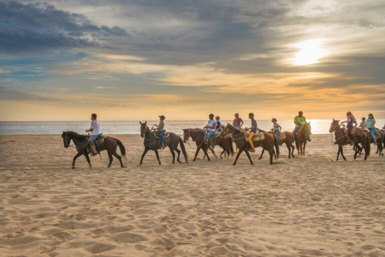 Agadir: Beach and Ranch Horse Riding Tour