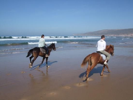 Agadir: Beach and Ranch Horse Riding Tour
