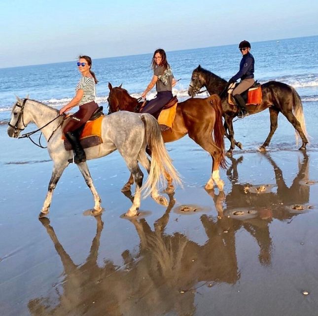 Agadir: Beach Sunset Horse Riding Tour With Transfer