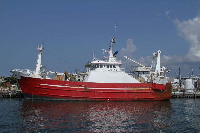 Agadir Boat Trip Fishing & Swimming Adventure