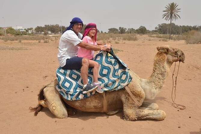Agadir Camel Ride Experience
