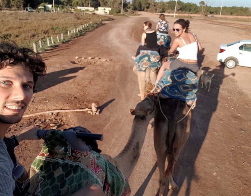 1 agadir camel ride flamingo river couscous with bbq dinner Agadir Camel Ride Flamingo River & Couscous With BBQ Dinner