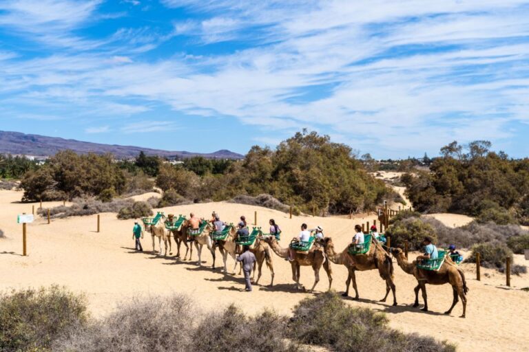 Agadir: Camel Ride With Tea