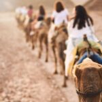 1 agadir camel ride with tea bbq dinner option 2 Agadir: Camel Ride With Tea & BBQ Dinner Option