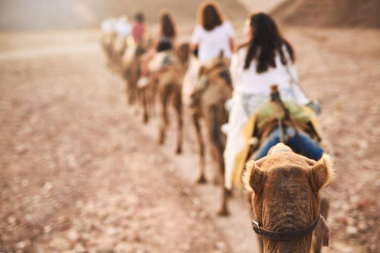 Agadir: Camel Ride With Tea & BBQ Dinner Option