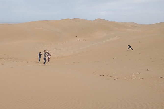 Agadir Half Day Private Tour to Sahara and Tifnit
