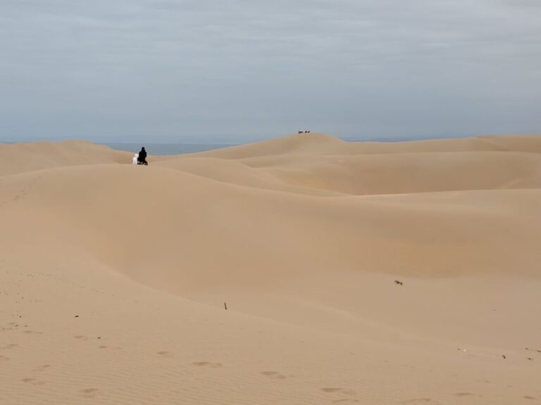 Agadir: Half-Day Sandboarding Tour With Lunch