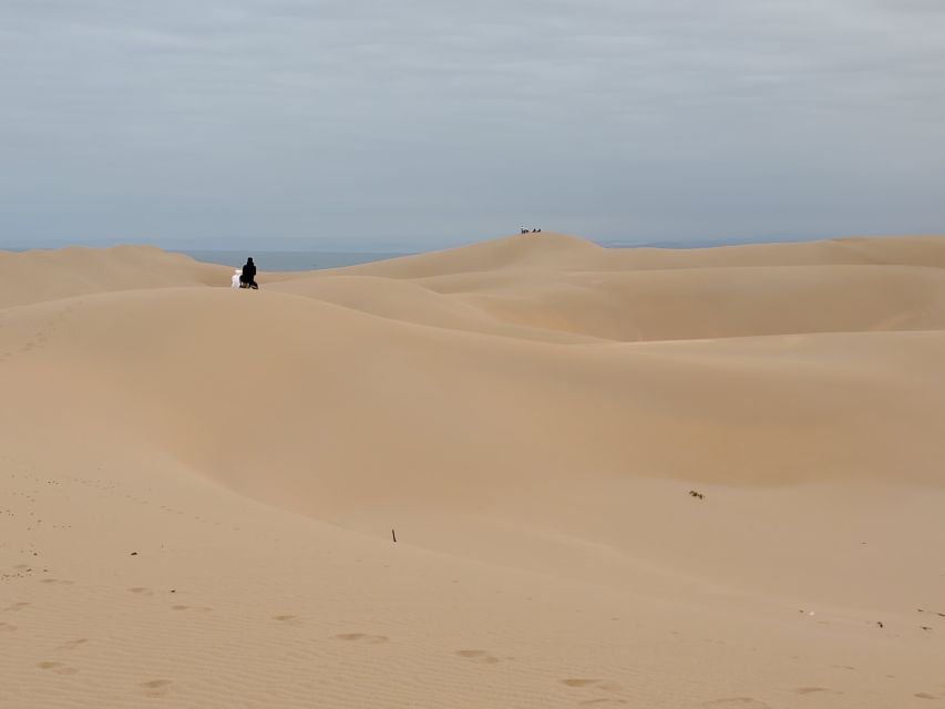 1 agadir half day sandboarding tour with lunch Agadir: Half-Day Sandboarding Tour With Lunch