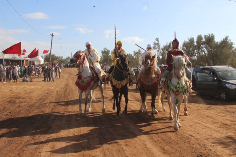 Agadir: Horse Ride Experience With Flamingos Watching