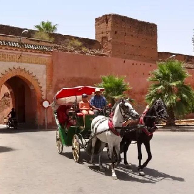 Agadir: Marrakech Day Trips With Professional Guide