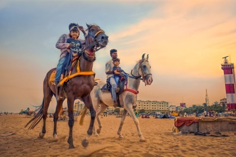 Agadir or Taghazout : Beach and Ranch Horse Riding Tour